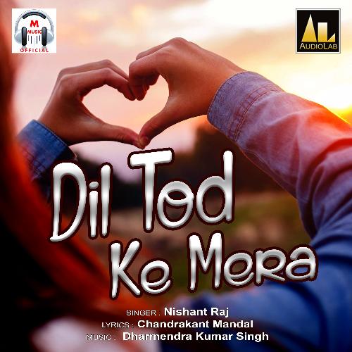 download Nishant Raj  Dil Tod Ke Mera mp3 Single Tracks song 