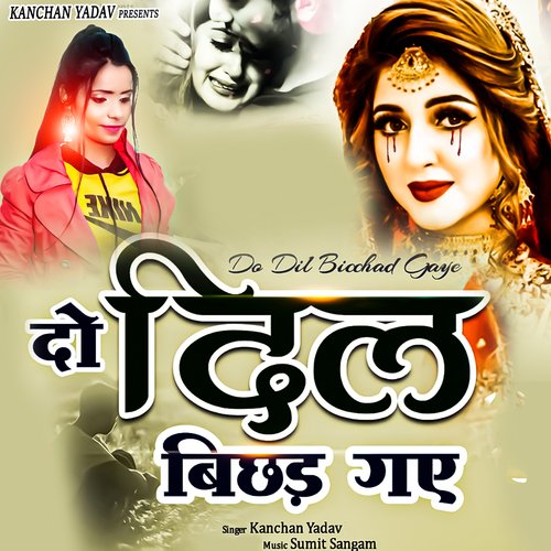 download   Do Dil Bichhad Gaye mp3 Single Tracks song 