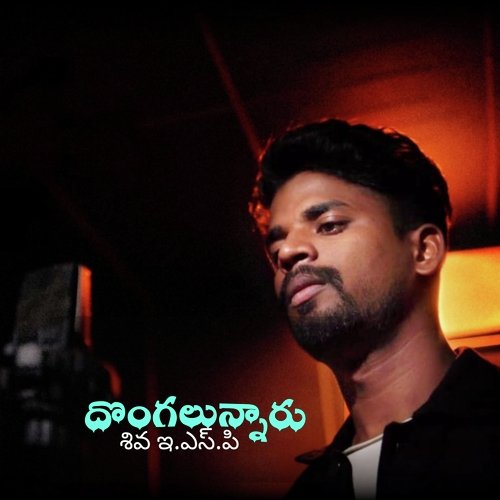 download   Dongalunnaru mp3 Single Tracks song 