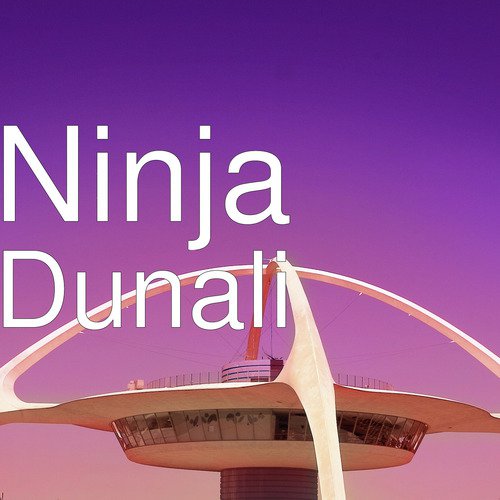 download Ninja  Dunali mp3 Single Tracks song 