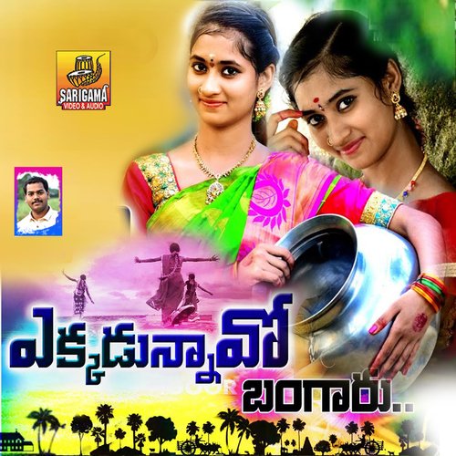 download Shalini  Ekkada Unnavo Na Bangaru mp3 Single Tracks song 