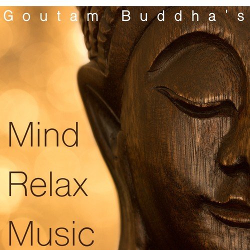 download Meditation Masters, Metropolitan Cosmo  Embracing Good Vibes mp3 Single Tracks song 