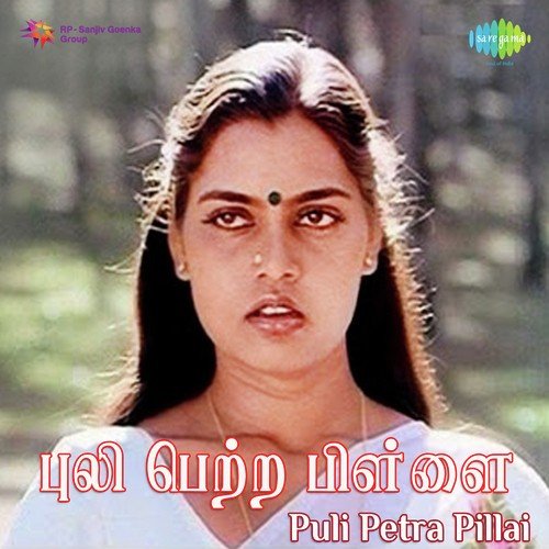 download S.P. Balasubrahmanyam, Vani Jayaram  Ezhezhu Janmangal mp3 Single Tracks song 