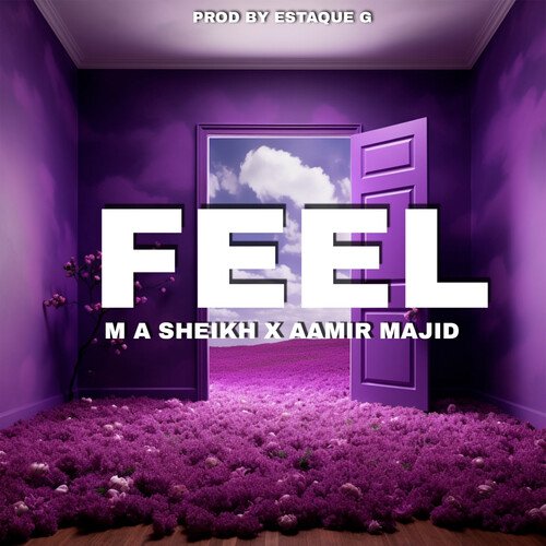 download M A Sheikh, Aamir Majid  FEEL mp3 Single Tracks song 