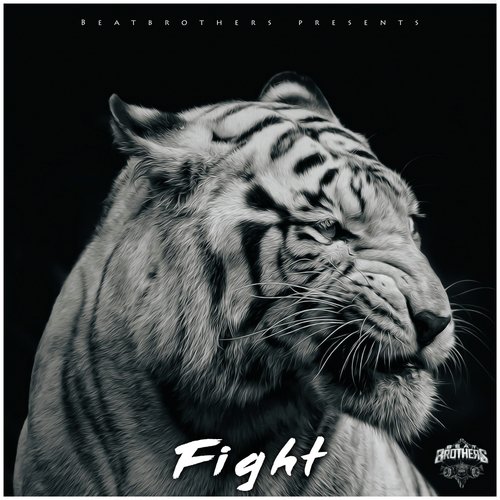 download BeatBrothers  Fight mp3 Single Tracks song 