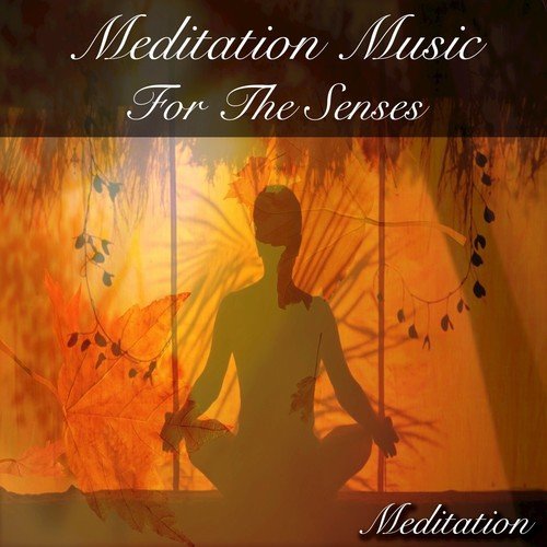 download Meditation  Floating Thoughts mp3 Single Tracks song 