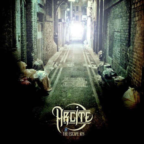 download Arcite  For The Night mp3 Single Tracks song 