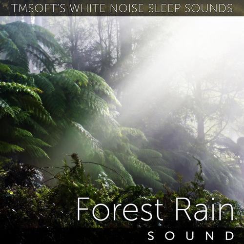 download Tmsoft's White Noise Sleep Sounds  Forest Rain Sound mp3 Single Tracks song 