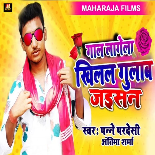 download Panne Pardeshi, Antima Sharma  Gaal Lagela Khilal Gulab Jaisan mp3 Single Tracks song 