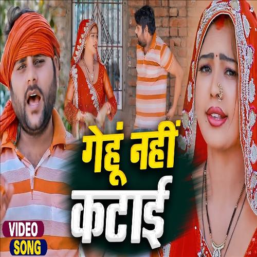 download Sanjay Lal Yadav, Anshika Raj  Gehun Nahi Katai mp3 Single Tracks song 