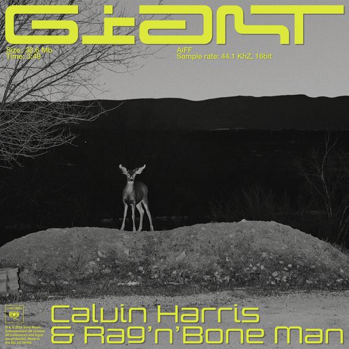 download Calvin Harris, Rag'N'Bone Man, Calvin Harris, Rag'n'Bone Man, Jamie Hartman, Troy Miller  Giant mp3 Single Tracks song 