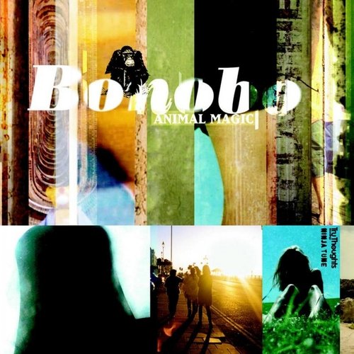 download Bonobo  Gypsy mp3 Single Tracks song 