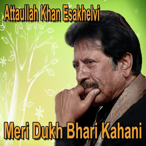 download Attaullah Khan Esakhelvi  Ham Bhi Tu Khuwab mp3 Single Tracks song 