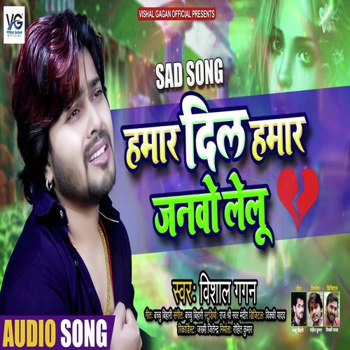 download Vishal Gagan  Hamar Dil Hmar Janwo Lelu mp3 Single Tracks song 