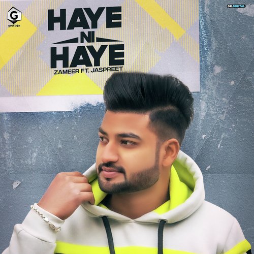 download Zameer  Haye Ni Haye mp3 Single Tracks song 