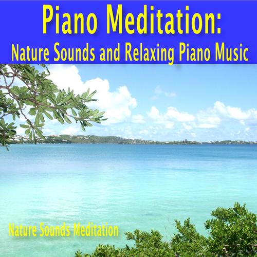 download Nature Sounds Meditation  Healing And Relaxation mp3 Single Tracks song 