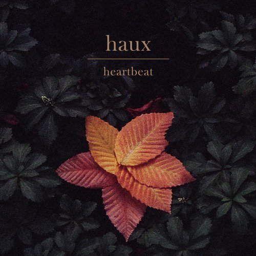 download Haux  Heartbeat mp3 Single Tracks song 