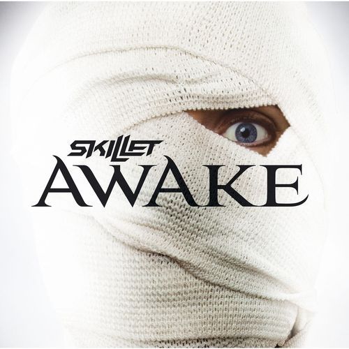 download Skillet  Hero mp3 Single Tracks song 