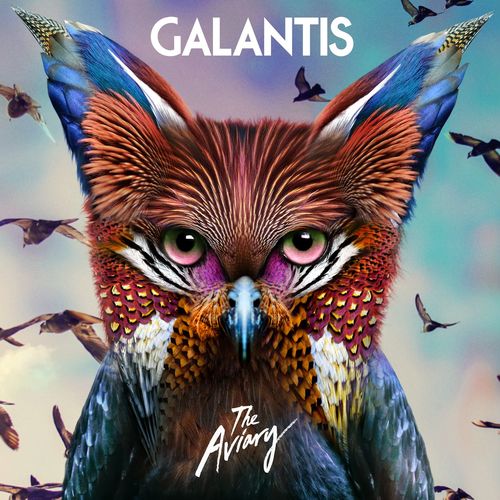 download Galantis  Hey Alligator mp3 Single Tracks song 