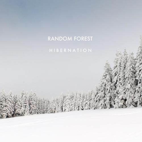 download Random Forest  Hibernation mp3 Single Tracks song 