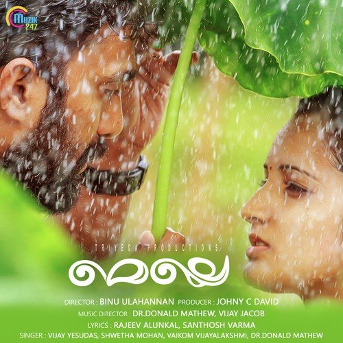 download Vijay Yesudas  Hridayam mp3 Single Tracks song 