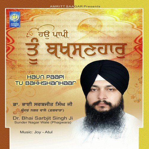 download Bhai Sarabjit Singh Ji Sundar Nagar Wale (Phagwara)  Hum Dolat Berhi Paap Bhari Hai mp3 Single Tracks song 