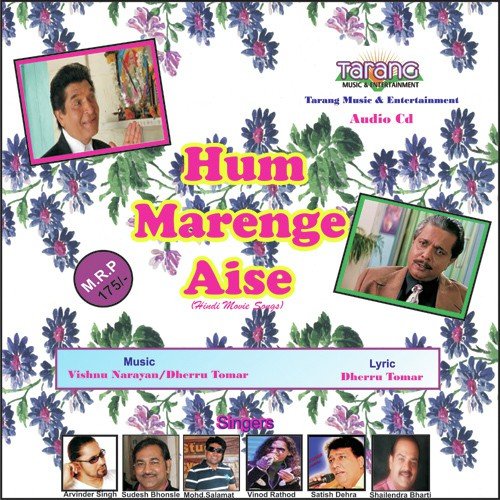 download Mohammed Salamat  Hum Hain Deewane Tere mp3 Single Tracks song 