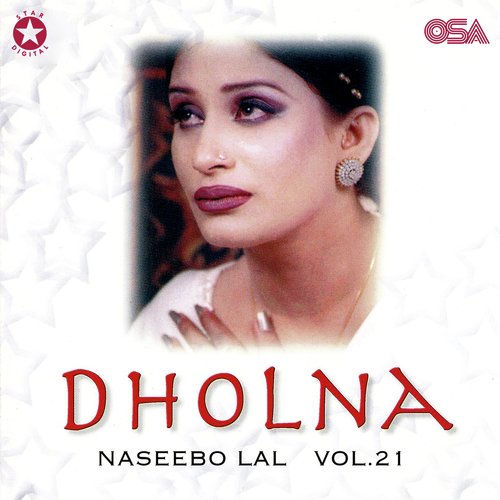 download Naseebo Lal  Hun Kalian Ni Lagda Ae Dil Dholna mp3 Single Tracks song 