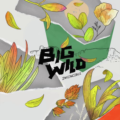 download Big Wild  I Just Wanna mp3 Single Tracks song 