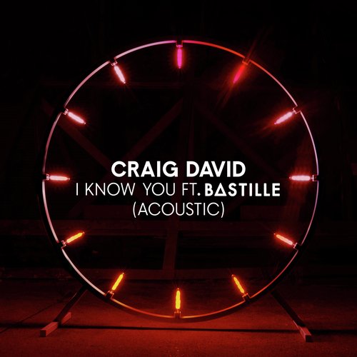 download Craig David, Bastille  I Know You mp3 Single Tracks song 