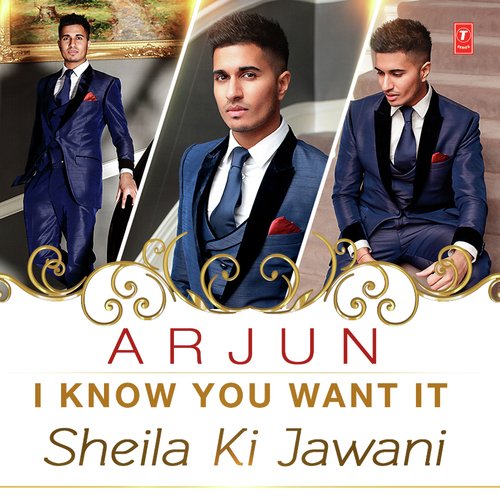 download Arjun, Sunidhi Chauhan, Vishal Dadlani  I Know You Want It mp3 Single Tracks song 