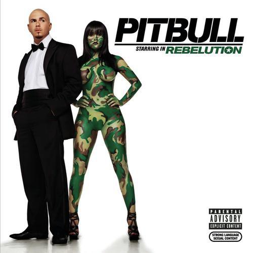 download Pitbull  I Know You Want Me mp3 Single Tracks song 