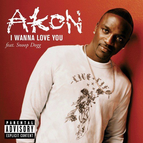 download Akon  I Wanna Love You mp3 Single Tracks song 