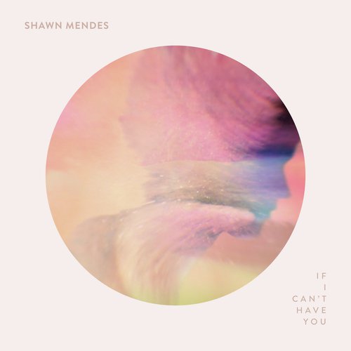 download Shawn Mendes  If I Cant Have You mp3 Single Tracks song 