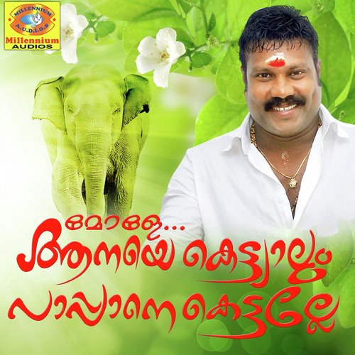 download   Ilam Thullikku mp3 Single Tracks song 