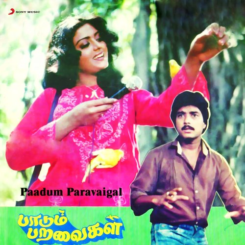 download Ilaiyaraaja, S. Janaki  Ilamai Ullam mp3 Single Tracks song 