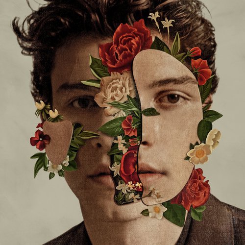 download Shawn Mendes  In My Blood mp3 Single Tracks song 