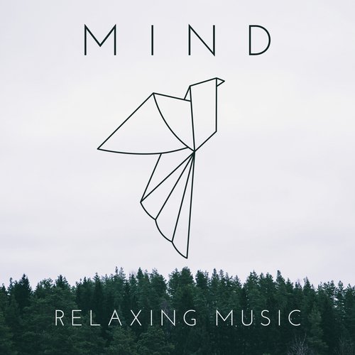 download Human Mind Universe, Peaceful Mind Music Consort, Free Your Mind Club  Instrumental Atmosphere mp3 Single Tracks song 