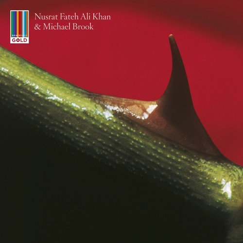 download Nusrat Fateh Ali Khan, Michael Brook  Intoxicated mp3 Single Tracks song 