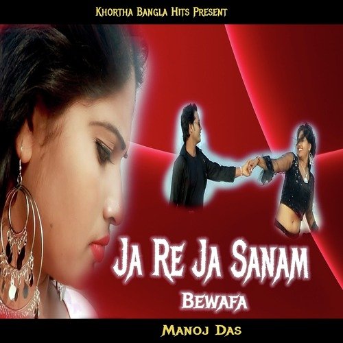 download   Ja Re Ja Sanam Bewafa mp3 Single Tracks song 