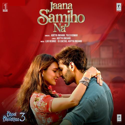 download Lijo George-Dj Chetas, Aditya Rikhari, Tulsi Kumar  Jaana Samjho Na (From "Bhool Bhulaiyaa 3") mp3 Single Tracks song 