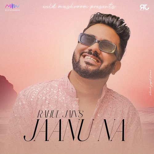 download   Jaanu Na mp3 Single Tracks song 