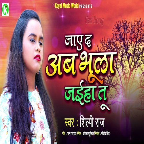 download Shilpi Raj  Jae Da Ab Bhula Jaiha Tu mp3 Single Tracks song 