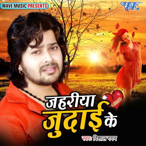 download Vishal Gagan  Jahariya Judai Ke mp3 Single Tracks song 