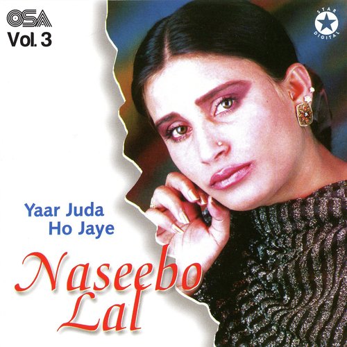 download Naseebo Lal  Jidha Yaar Juda Ho Jaye mp3 Single Tracks song 