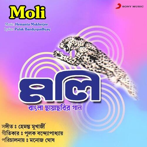 download Sandhya Mukherjee  Jodi Chao Chadni Tumi mp3 Single Tracks song 