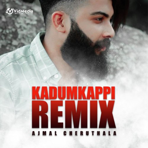 download   Kadumkappi Remix mp3 Single Tracks song 