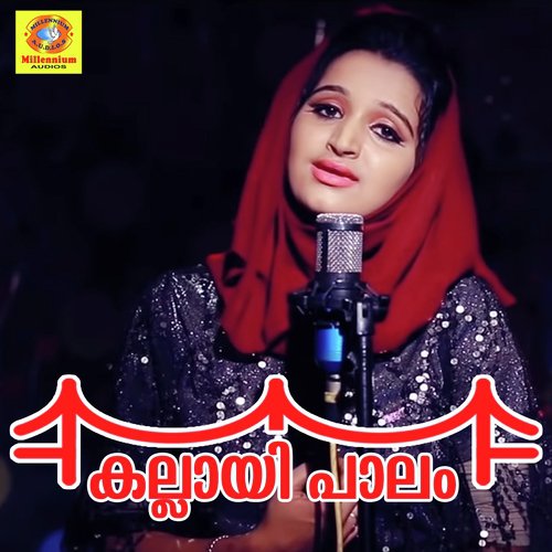 download Riyana Rameez  Kallayi Palam mp3 Single Tracks song 