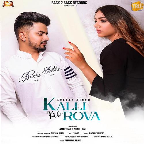 download Sultan Singh  Kalli Kio Rova mp3 Single Tracks song 