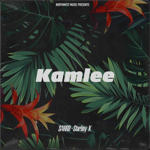 download Sarrb, Starboy X  Kamlee mp3 Single Tracks song 